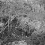 The Lesson of War We Don’t Learn