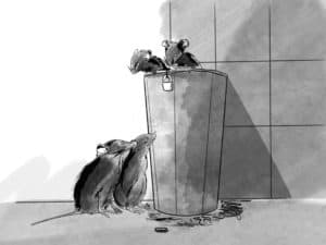 “Everyone Has a Role in Rat Control”