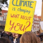 Anthropocentrism and Democracy in Planetary Times