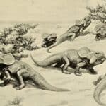 Anti-natalists Have an Image Problem