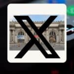 Why the Study of History Belongs to the Public