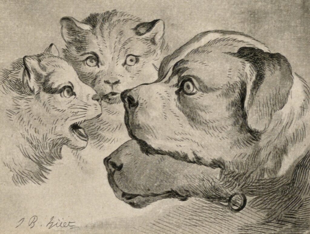 Cats and dogs smithsonian