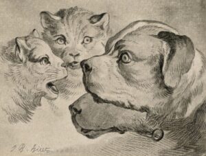 Animal Sovereignties and the Wolves of Isle Royale