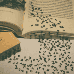 Invisible Scam: Percival Everett’s <em>Erasure</em>