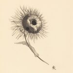 Slow Torture in Gaza