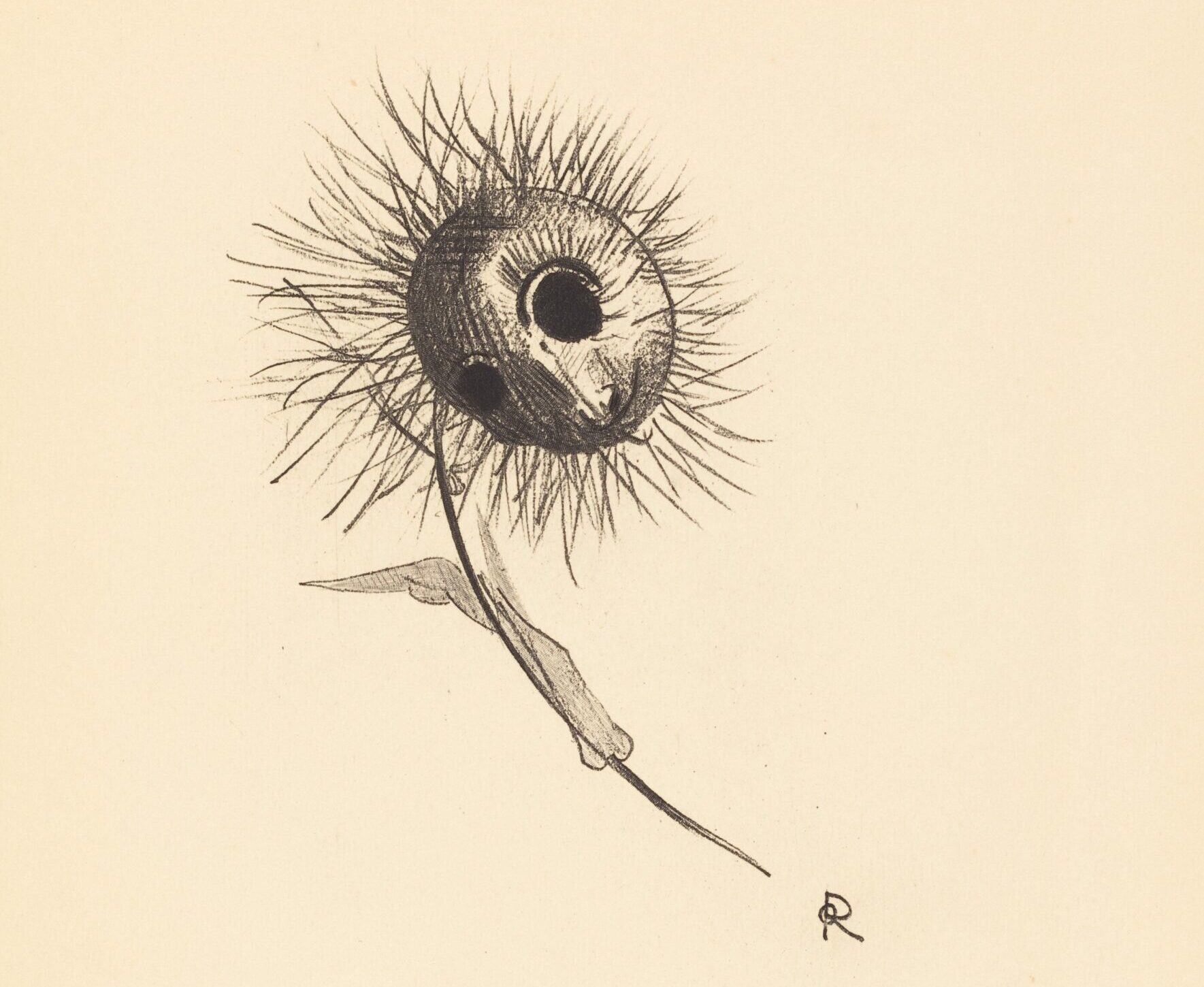 Lithograph of dandelion-like flower with a face and empty eye sockets