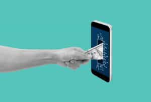 Platforms, Payments, and Ponzi Schemes