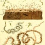 Is Finance a “Parasite”?