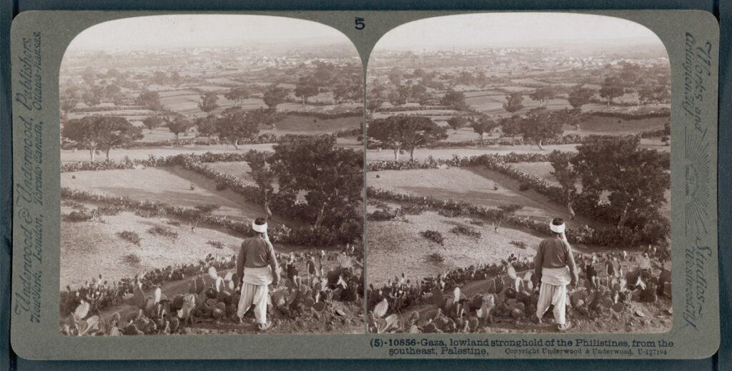 A landscape photograph of the lowlands outside Gaza taken between 1896 and 1919.