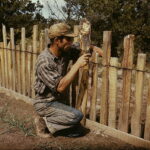 “Blame It on the Immigrant”: The Housing Crisis Edition