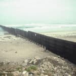 Immigration and the US Presidential Election