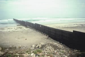 Immigration and the US Presidential Election