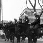 From Moral Panic to Government Policy and Research