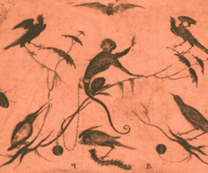 Ecology and Democracy in a World on Fire