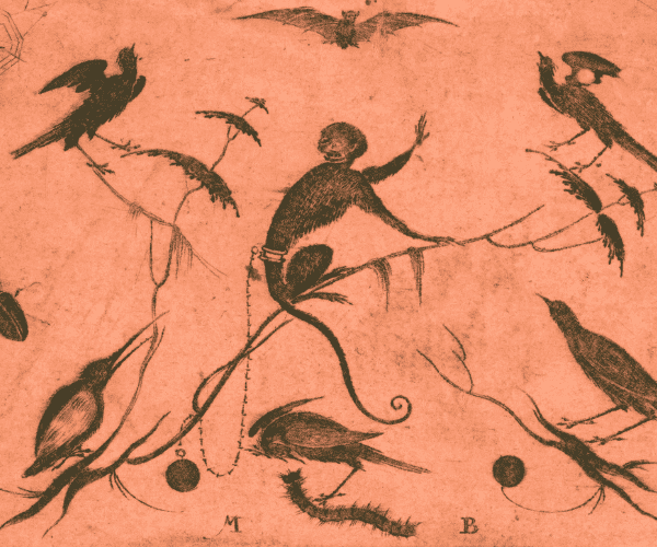 Blackwork Design for Goldsmithwork with Monkey, Birds, and Insects (ca. 1582–1616) | Mathais Beitler / Public Domain