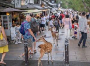 Reimagining Ecological Repair