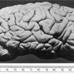 Great Engineers, Terrible Philosophers