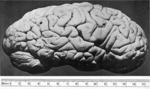 Great Engineers, Terrible Philosophers