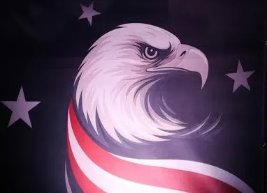 Illustration of scowling bald eagle surrounded by stars and stripes