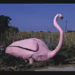 The Return of the Oppressed 