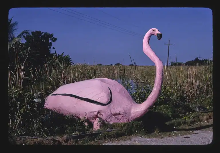 A bright pink flamingo sculpture in the swampy overgrowth along a roadside.