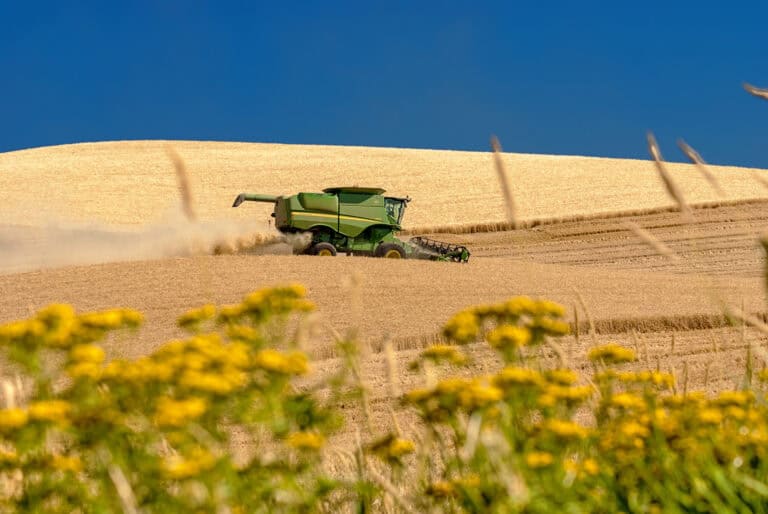 We Need Industrial Agriculture