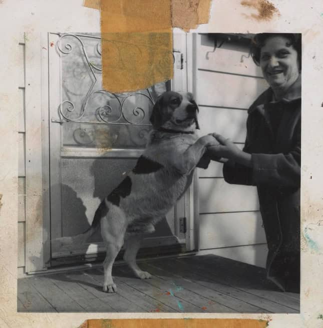 Unidentified woman with a beagle (ca. 1950s) | Honoré Desmond Sharrer / Honoré Sharrer papers, ca. 1920–2007, Archives of American Art, Smithsonian Institution / Public domain