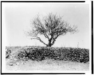 The Political Perimeter