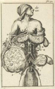 17th century anatomical illustration of internal organs